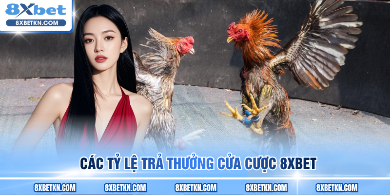 Các tỷ lệ trả thưởng cửa cược 8XBET Các tỷ lệ trả thưởng cửa cược 8XBET
